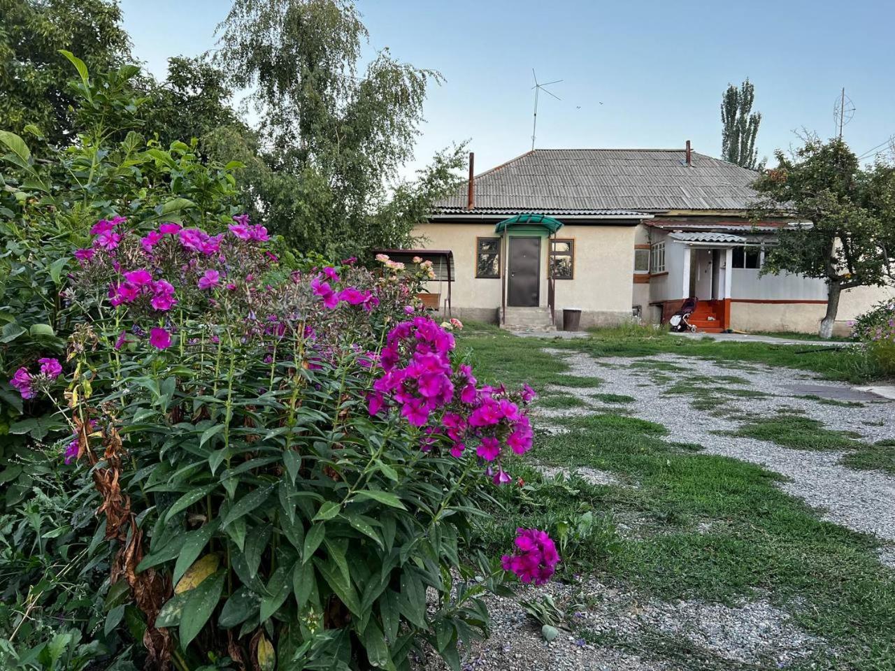 Hotel Bulak à Karakol Extérieur photo